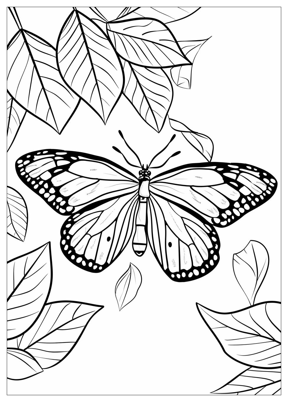 Butterfly Coloring Pages-2