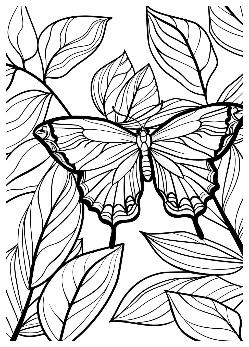 Butterfly Coloring Pages-8