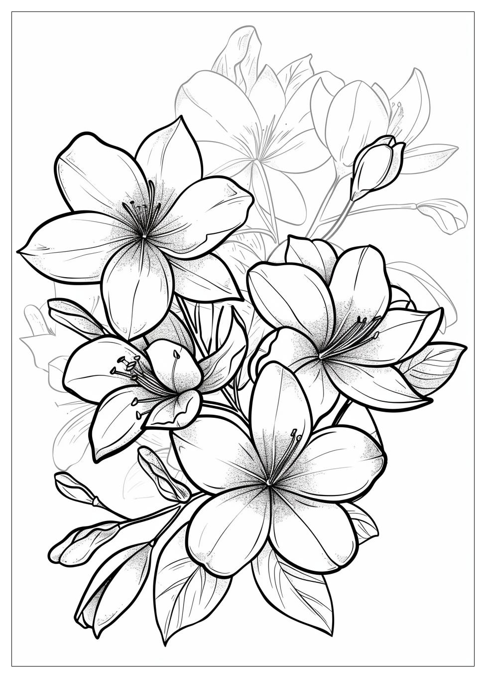 Jasmine Flower Coloring Pages-1