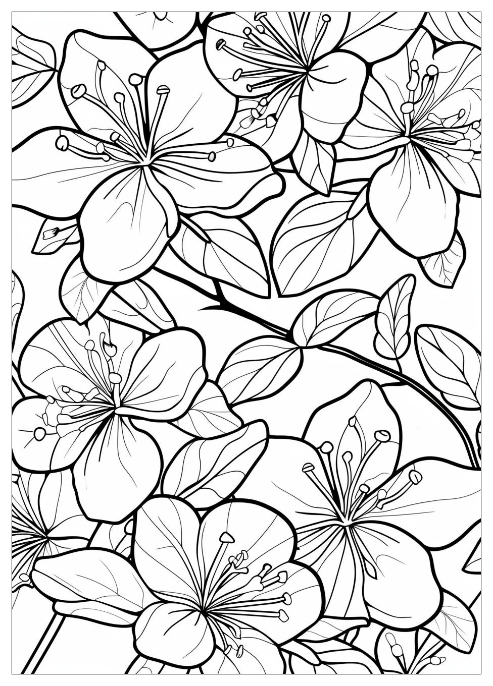 Jasmine Flower Coloring Pages-10