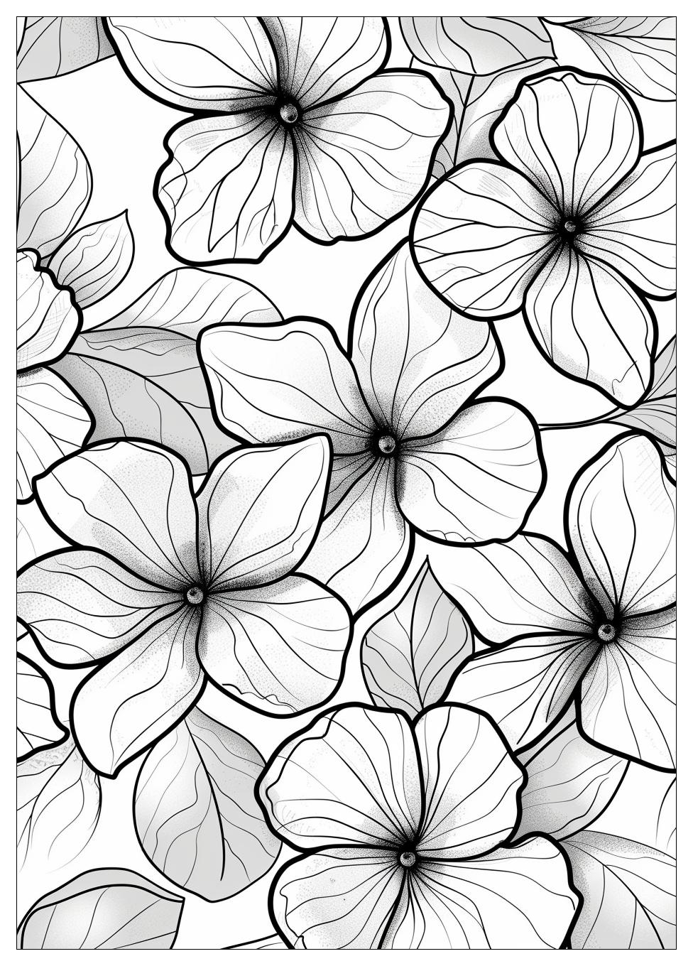 Jasmine Flower Coloring Pages-11