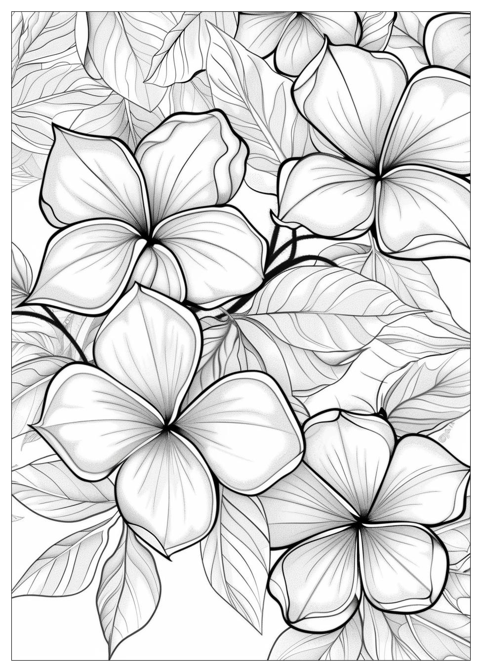 Jasmine Flower Coloring Pages-13