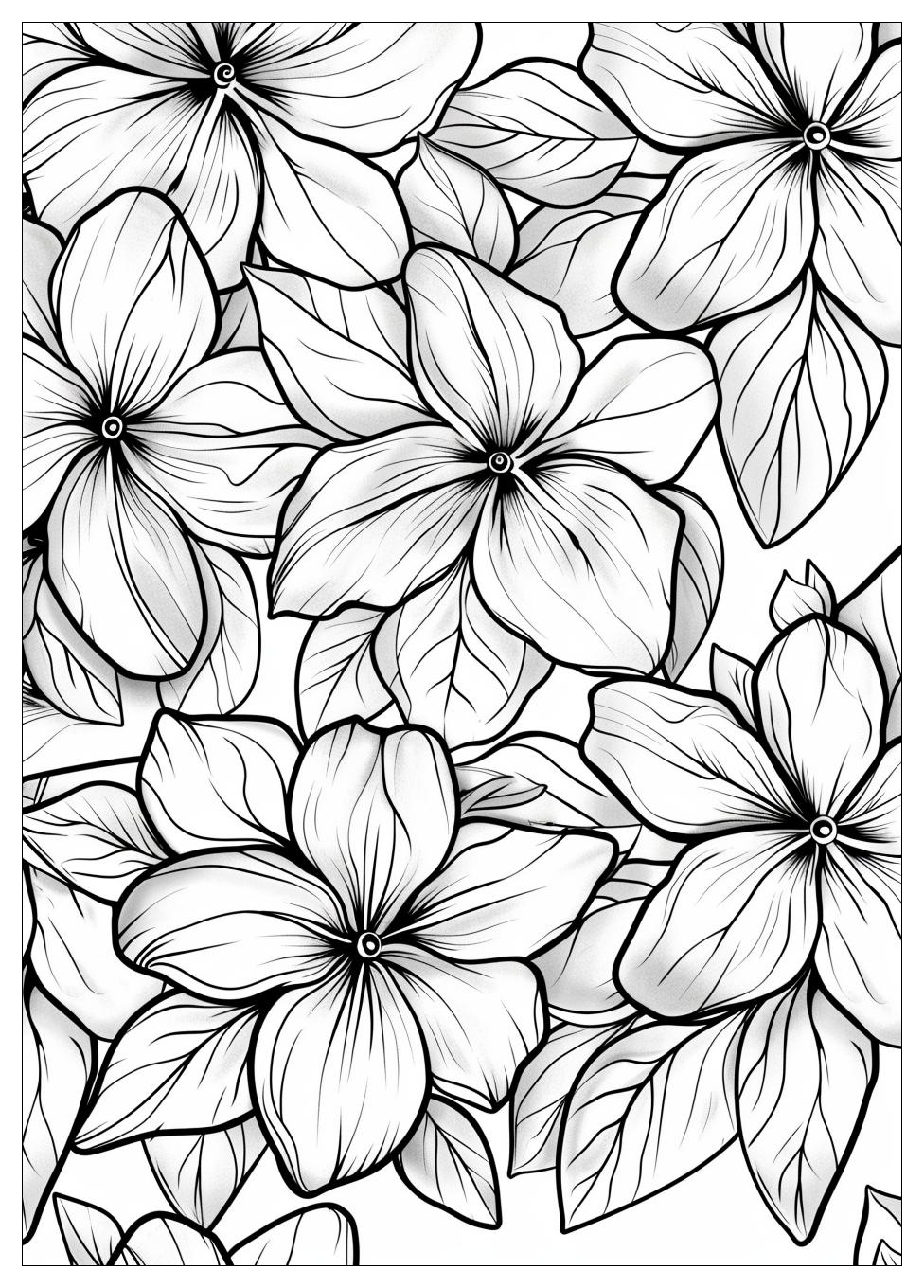 Jasmine Flower Coloring Pages-17