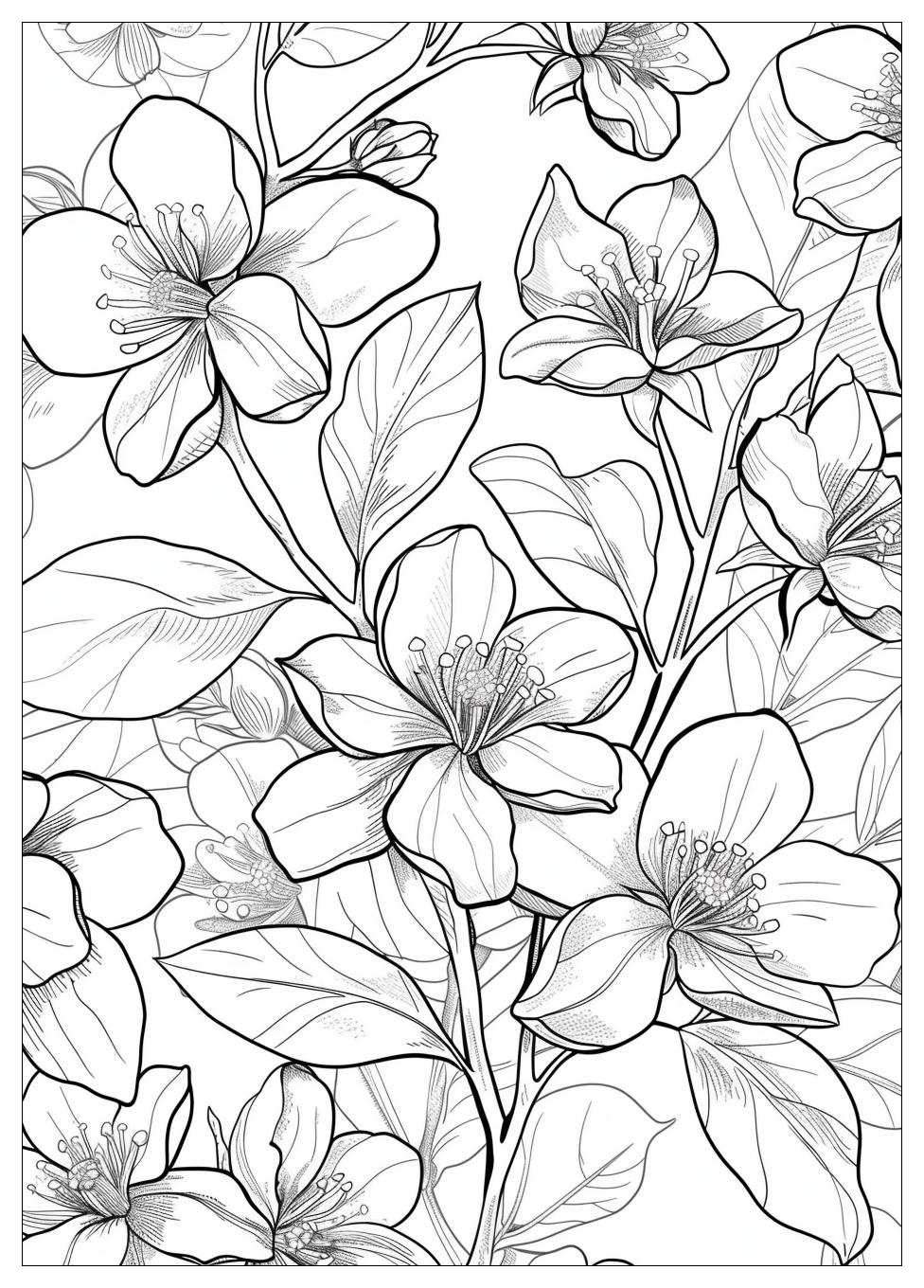 Jasmine Flower Coloring Pages-18