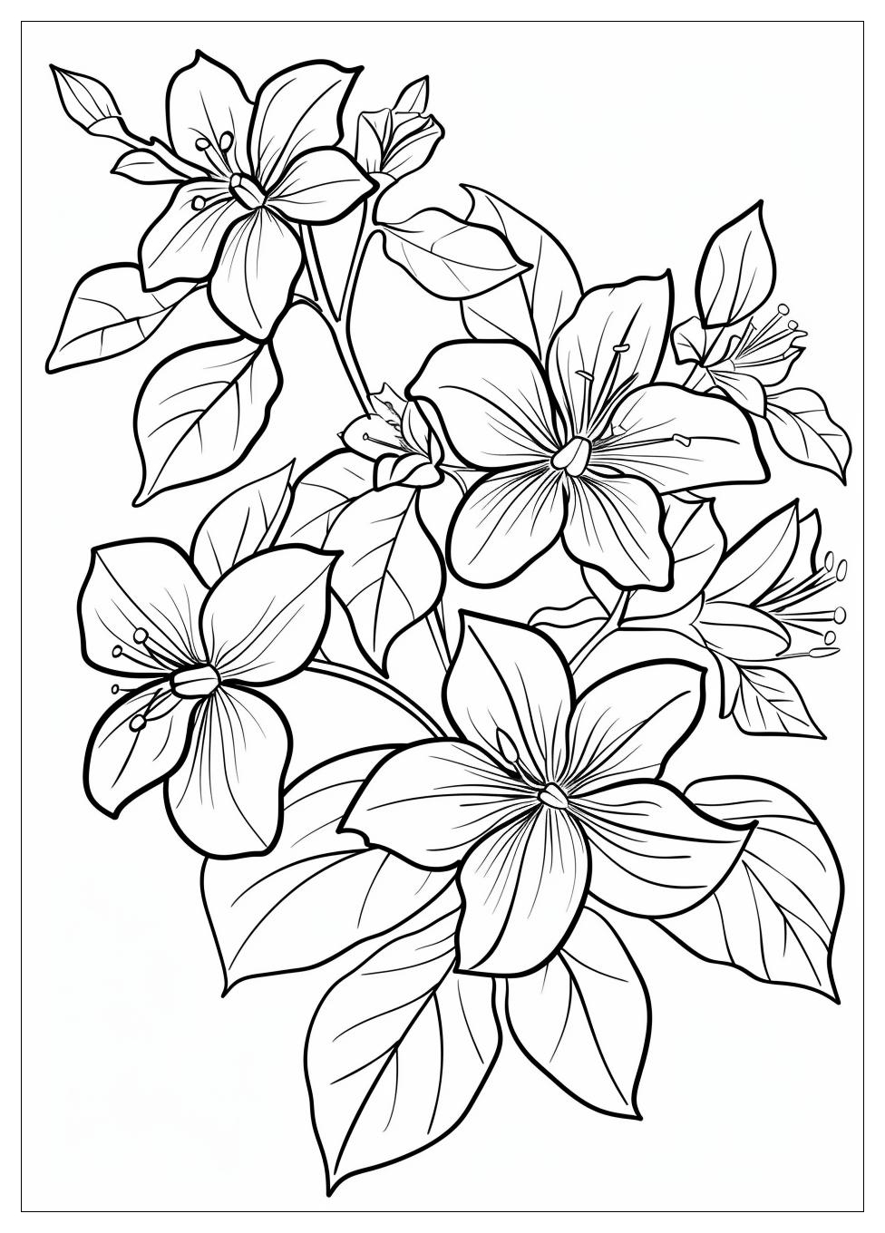 Jasmine Flower Coloring Pages-3