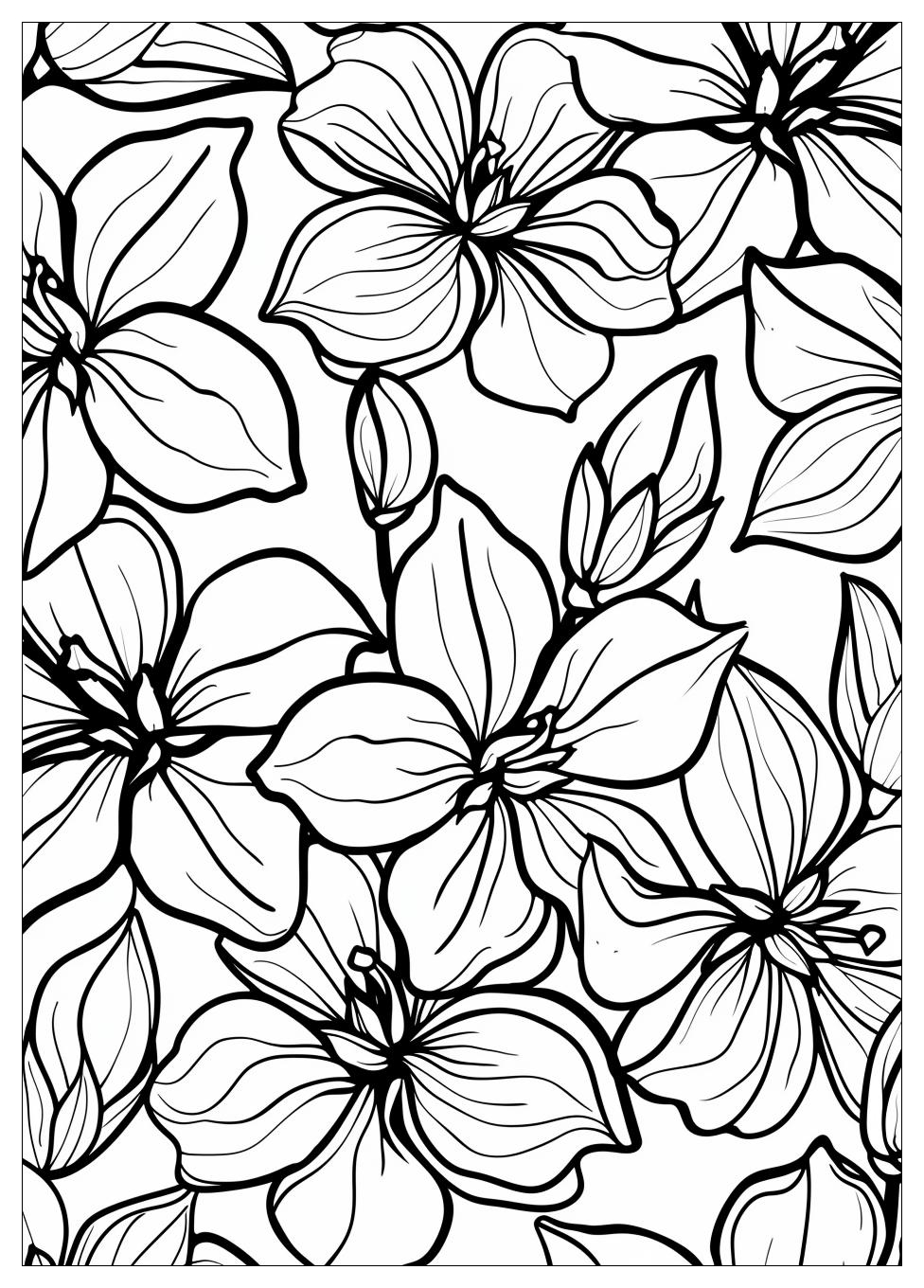 Jasmine Flower Coloring Pages-4