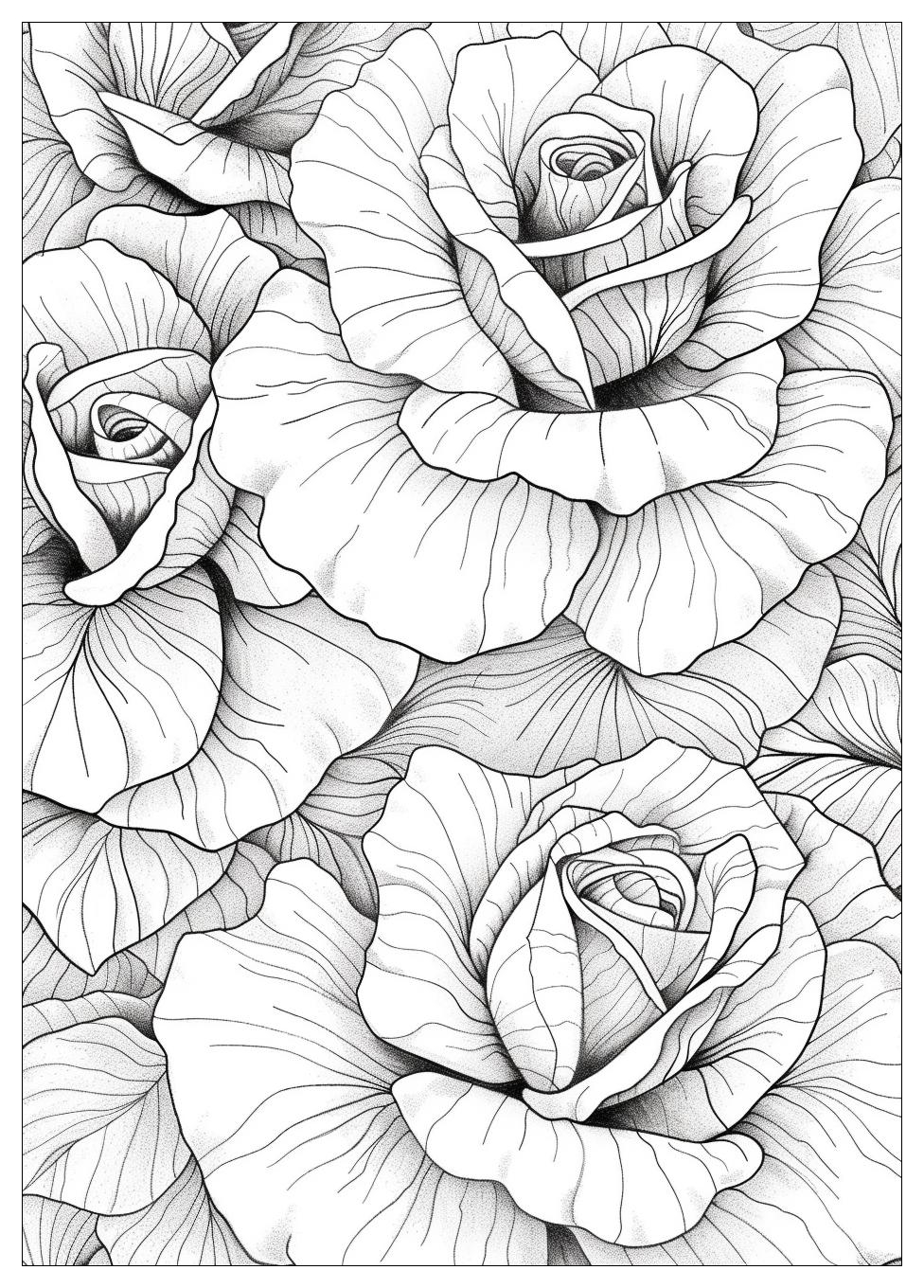 Rose Flower Coloring Pages-20