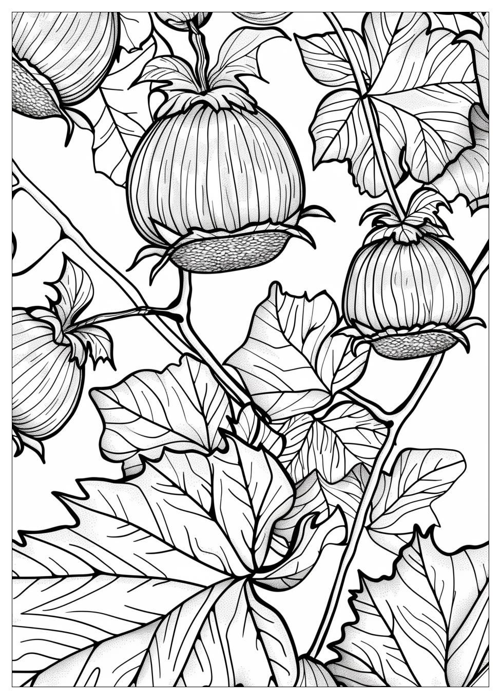 Acorn Coloring Pages-18