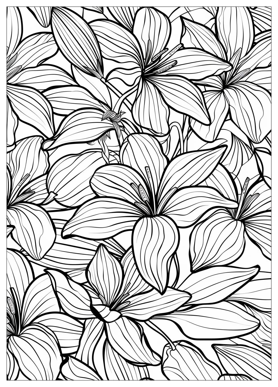 Adult Coloring Pages-11