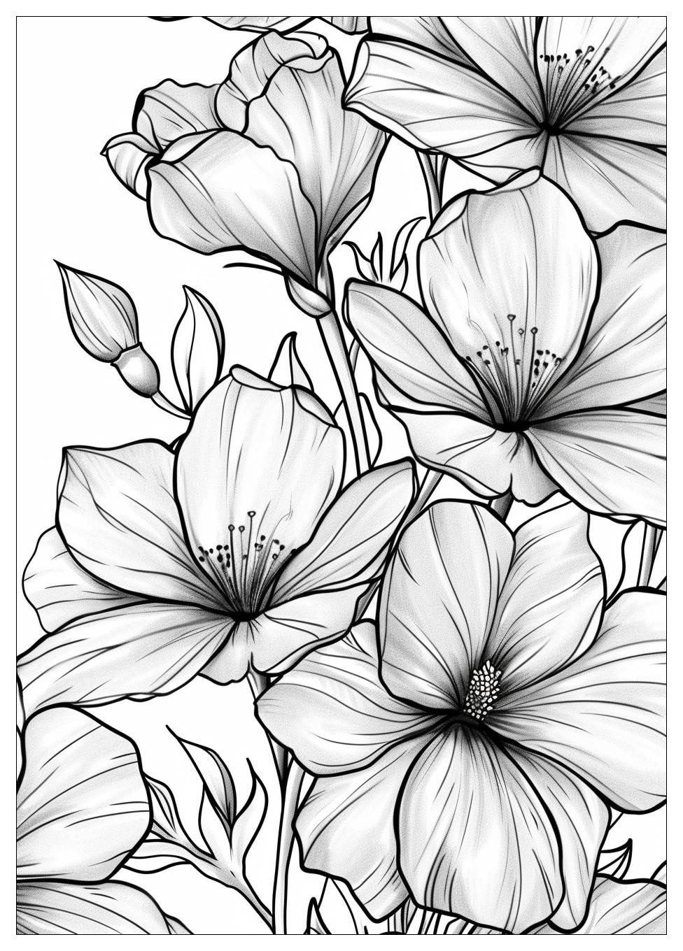 Adult Coloring Pages-2