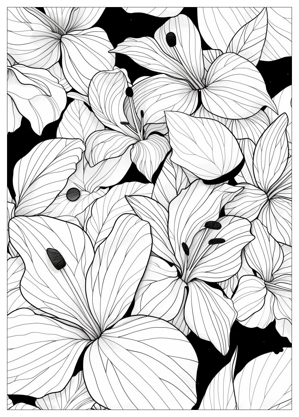 Adult Coloring Pages-8