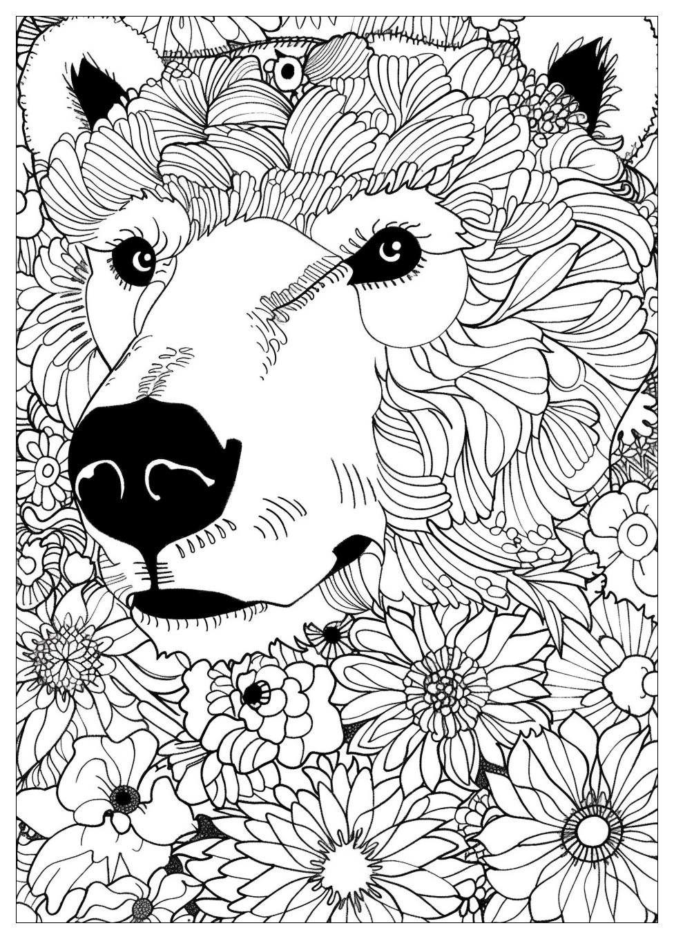 Arctic Animal Coloring Pages-19