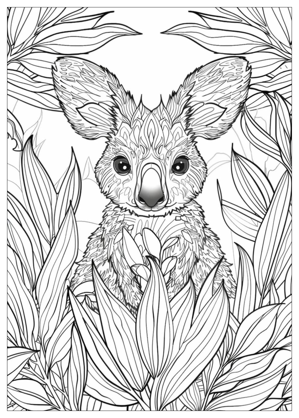 Australia Coloring Pages-15