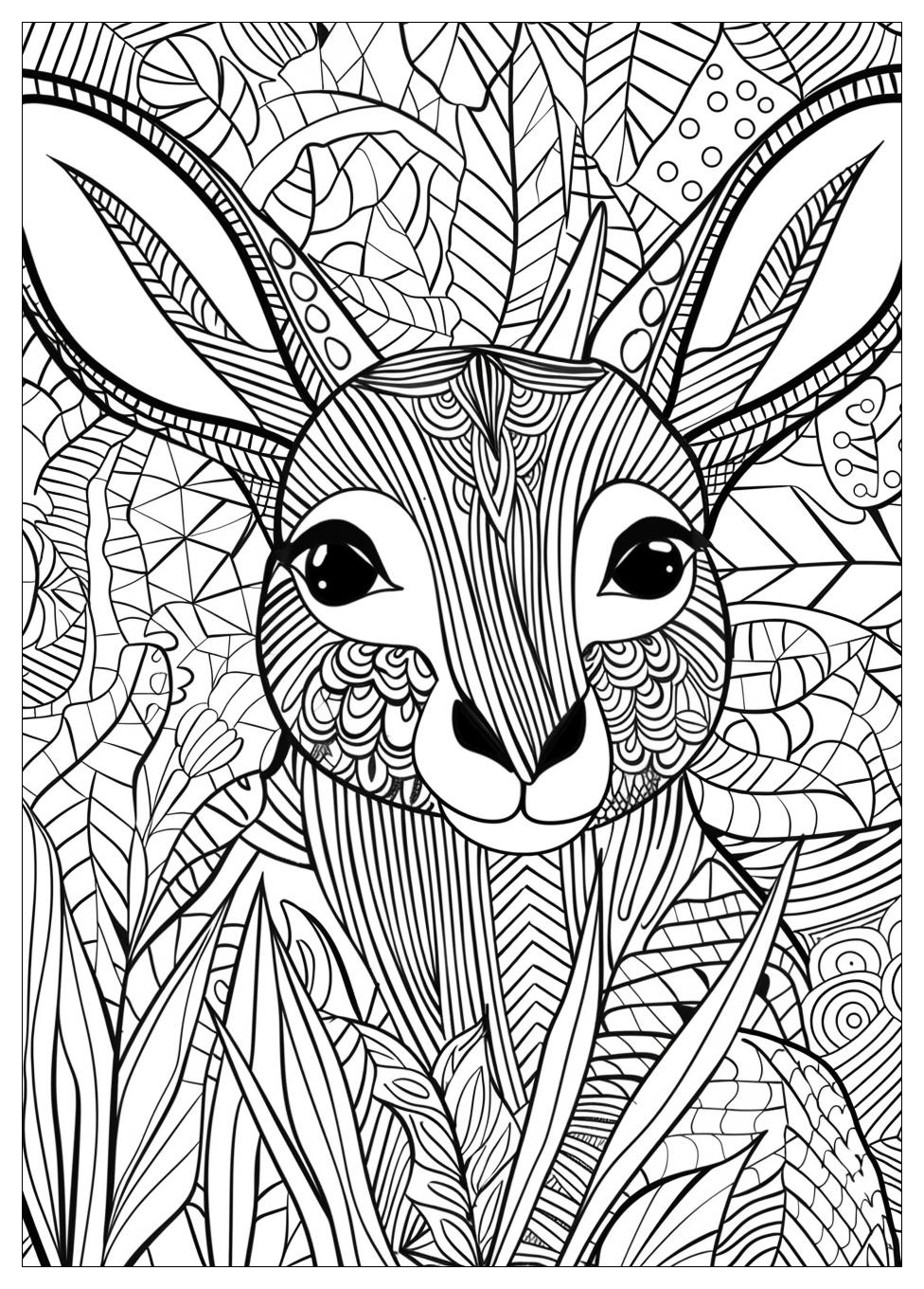 Australia Coloring Pages-17