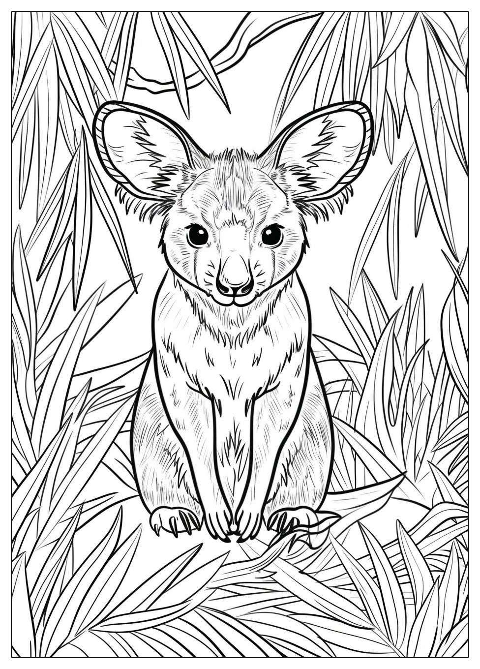 Australia Coloring Pages-20