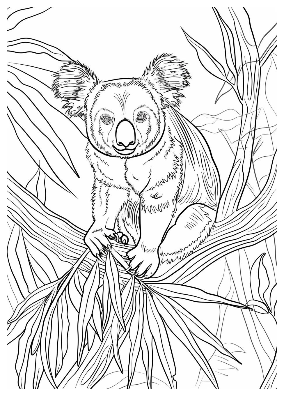 Australia Coloring Pages-8