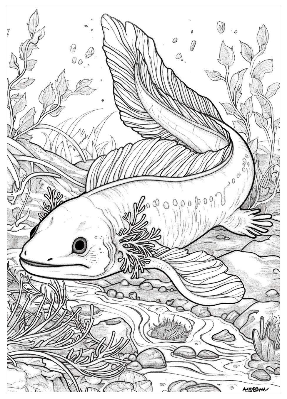 Axolotl Coloring Pages-17