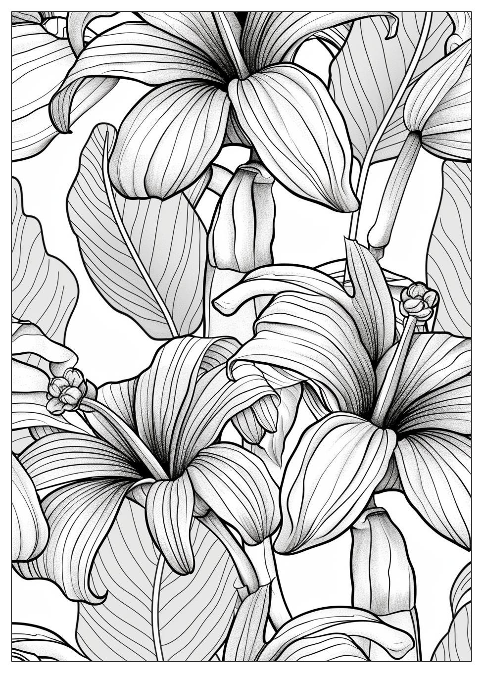 Banana Coloring Pages-13