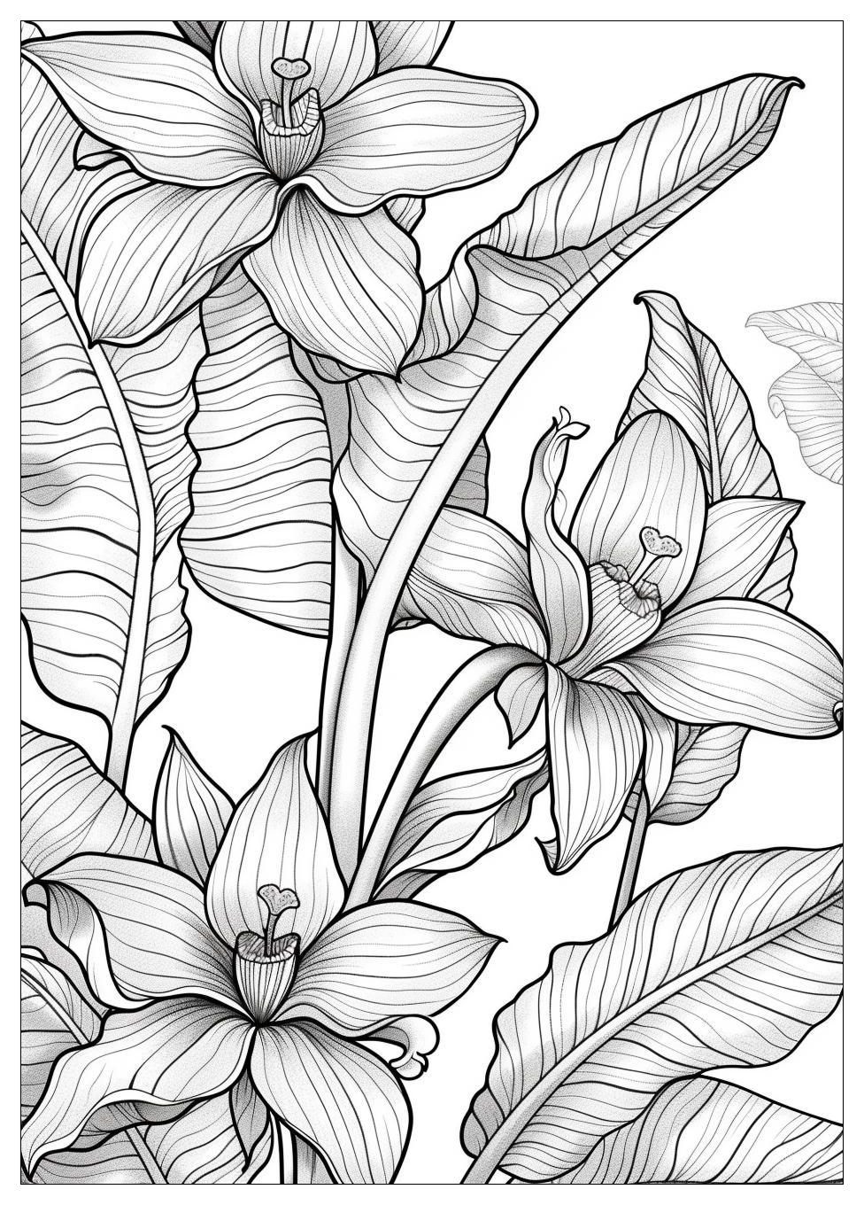 Banana Coloring Pages-14