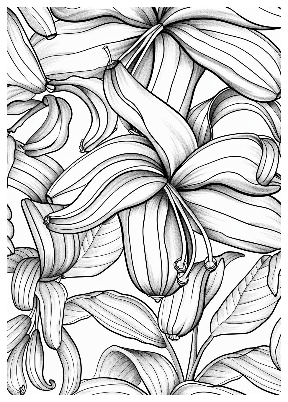 Banana Coloring Pages-18