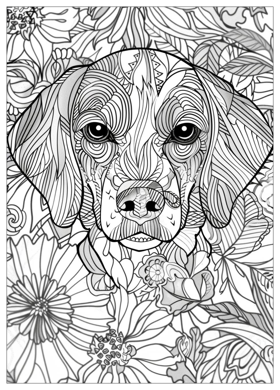 Beagle Coloring Pages-13