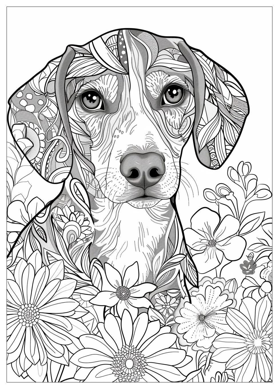 Beagle Coloring Pages-19