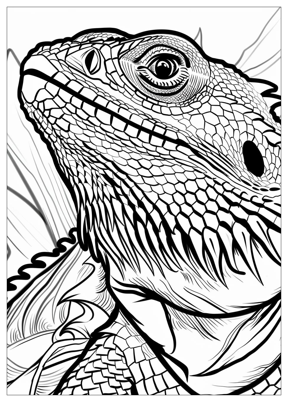 Bearded Dragon Coloring Pages-10