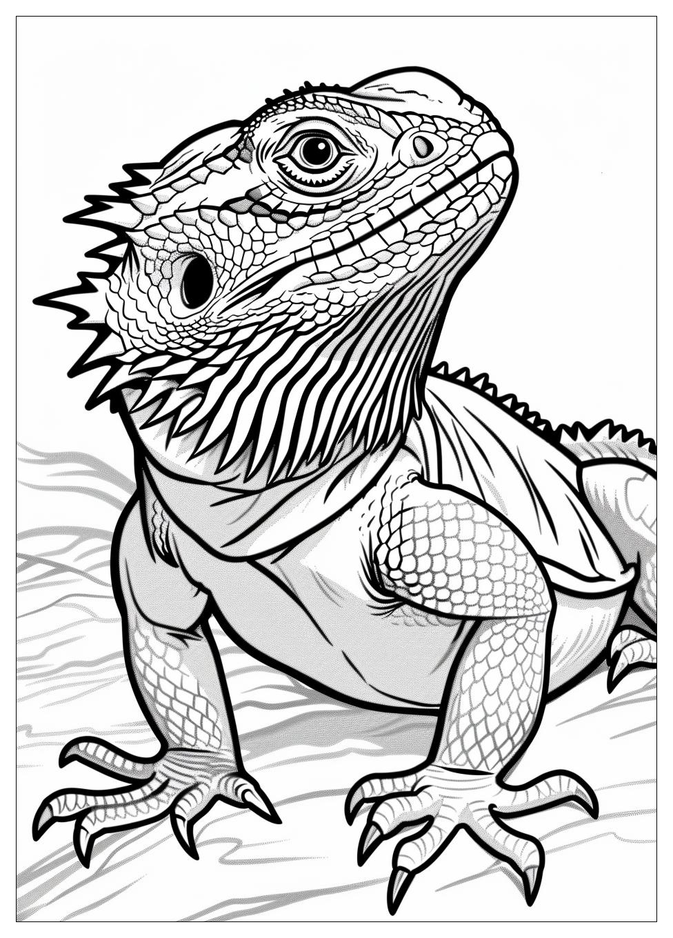 Bearded Dragon Coloring Pages-11