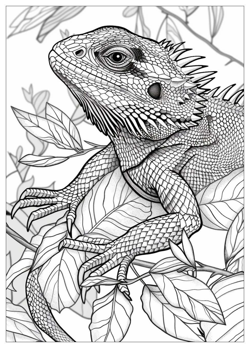 Bearded Dragon Coloring Pages-13