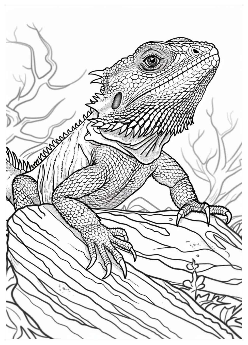 Bearded Dragon Coloring Pages-14