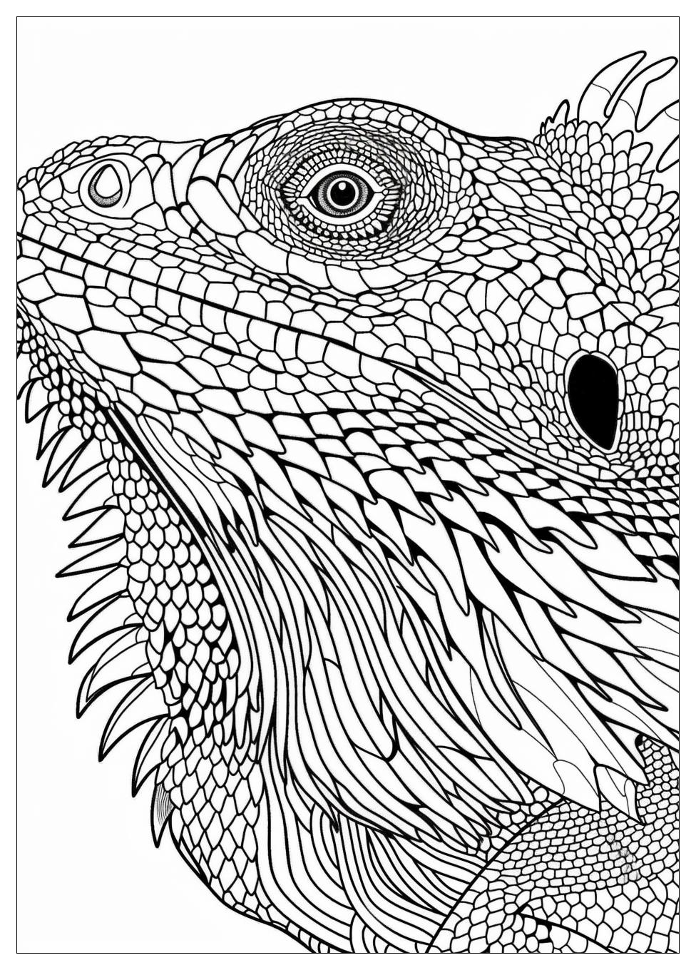 Bearded Dragon Coloring Pages-15