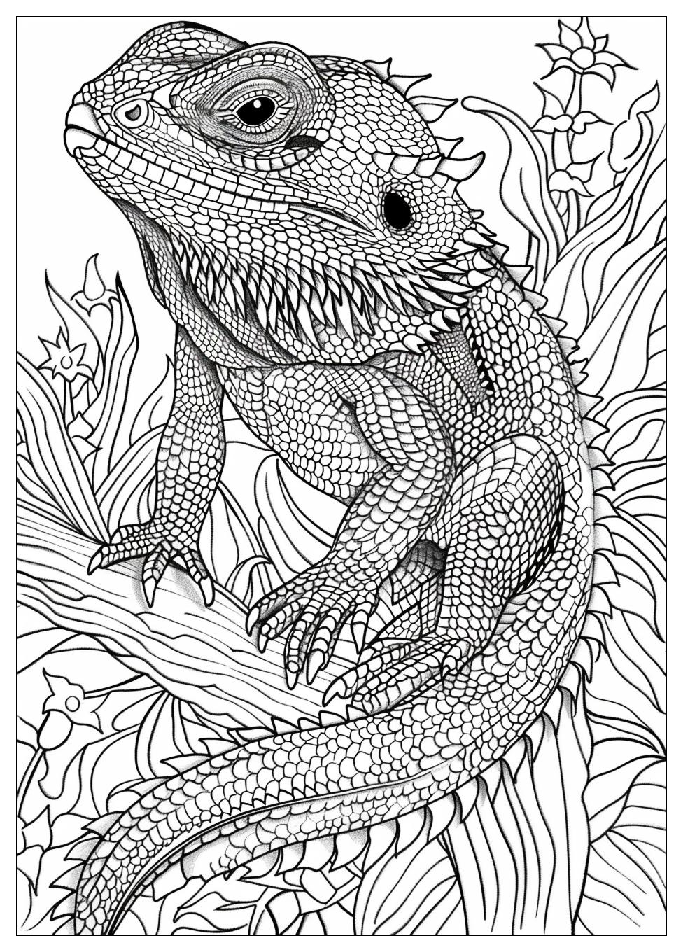 Bearded Dragon Coloring Pages-16