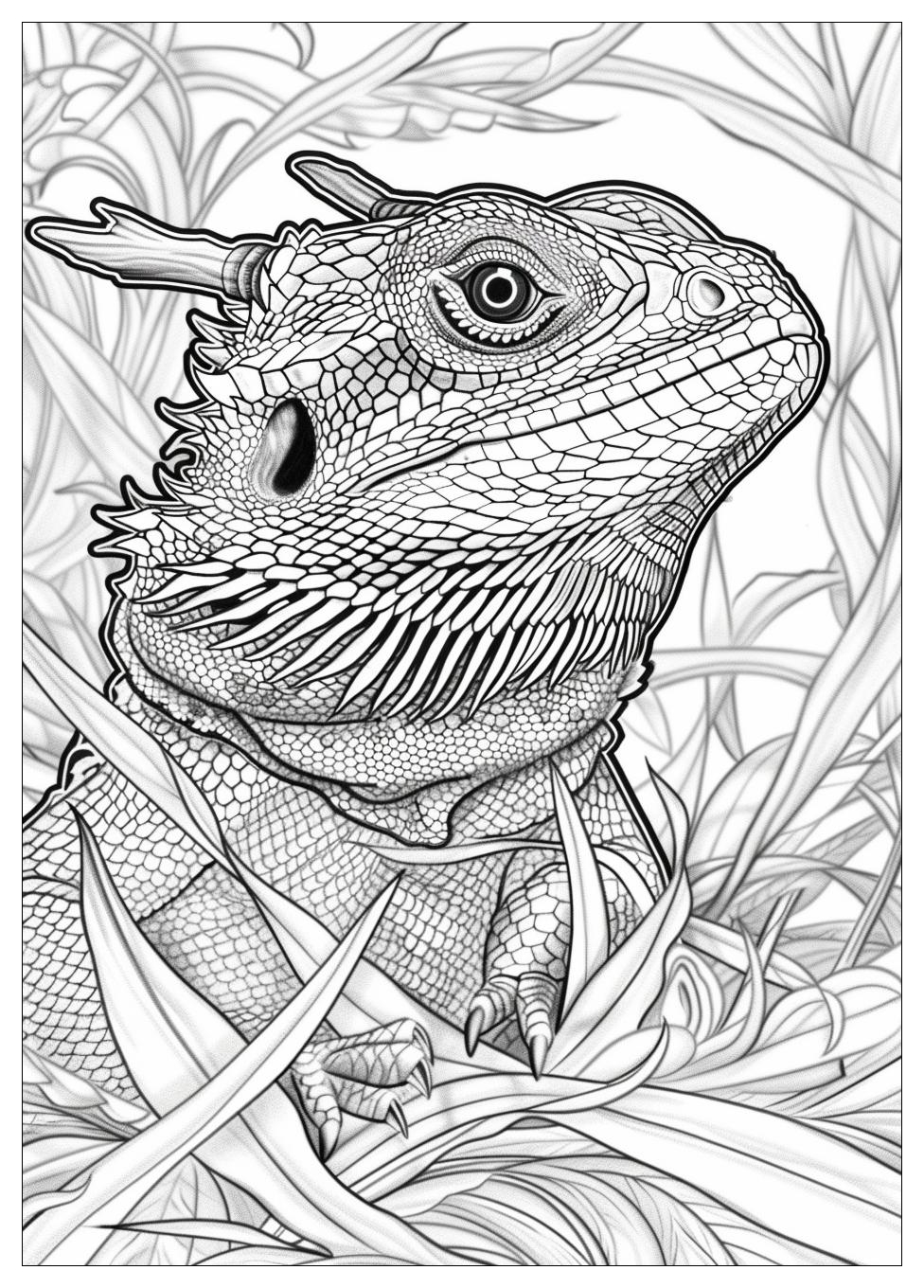 Bearded Dragon Coloring Pages-19