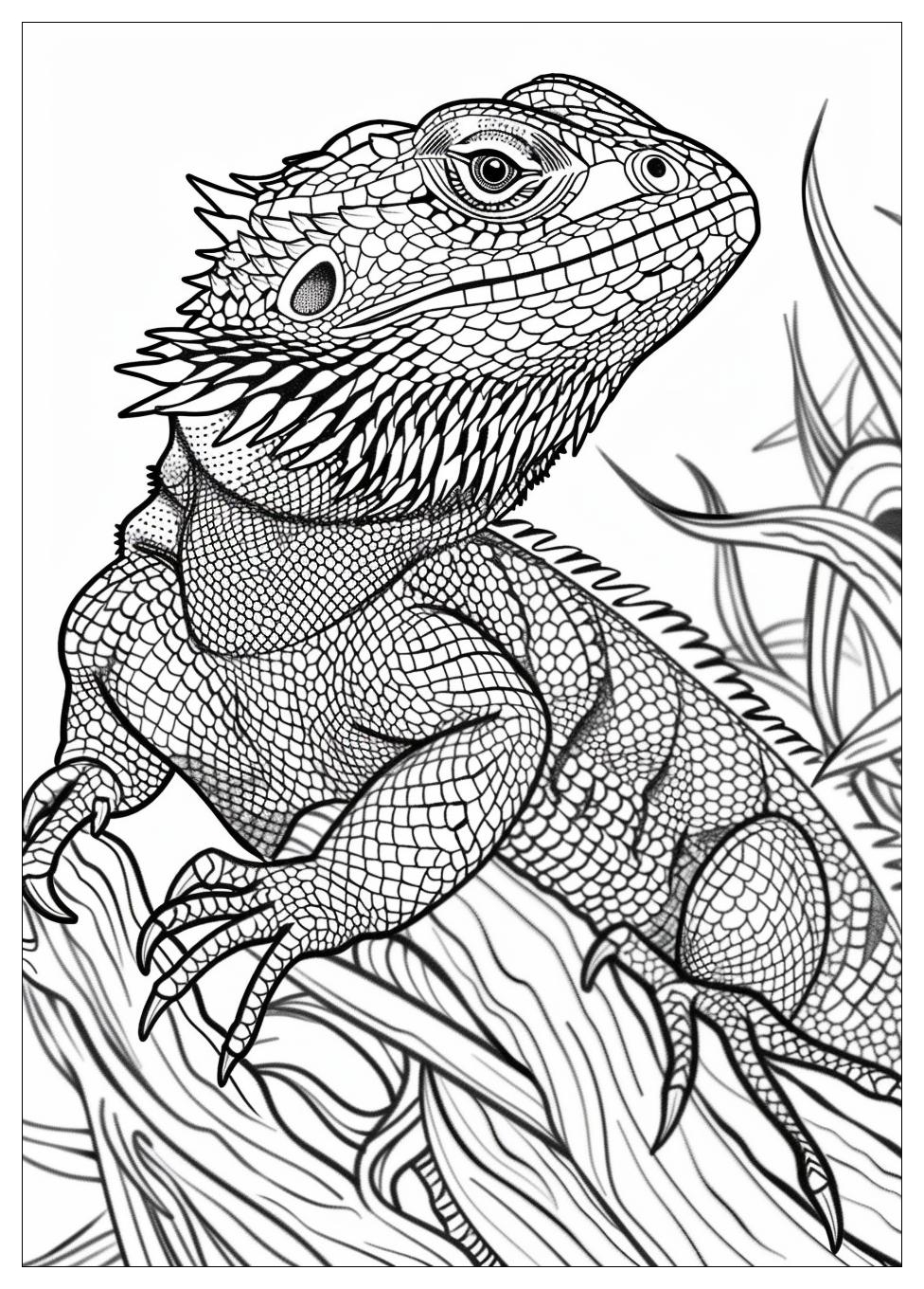 Bearded Dragon Coloring Pages-20