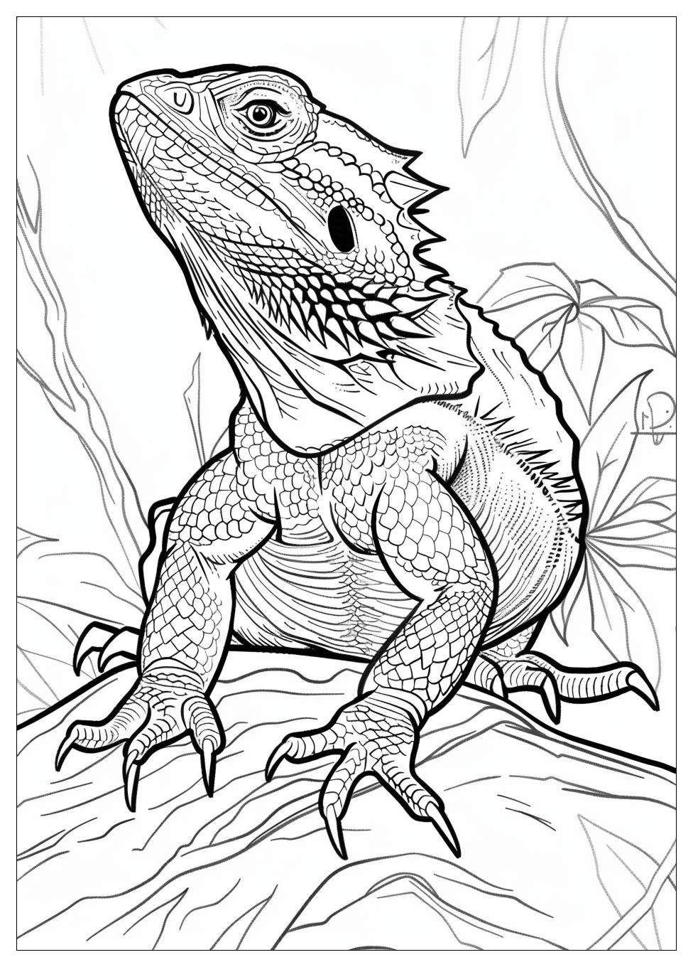 Bearded Dragon Coloring Pages-4