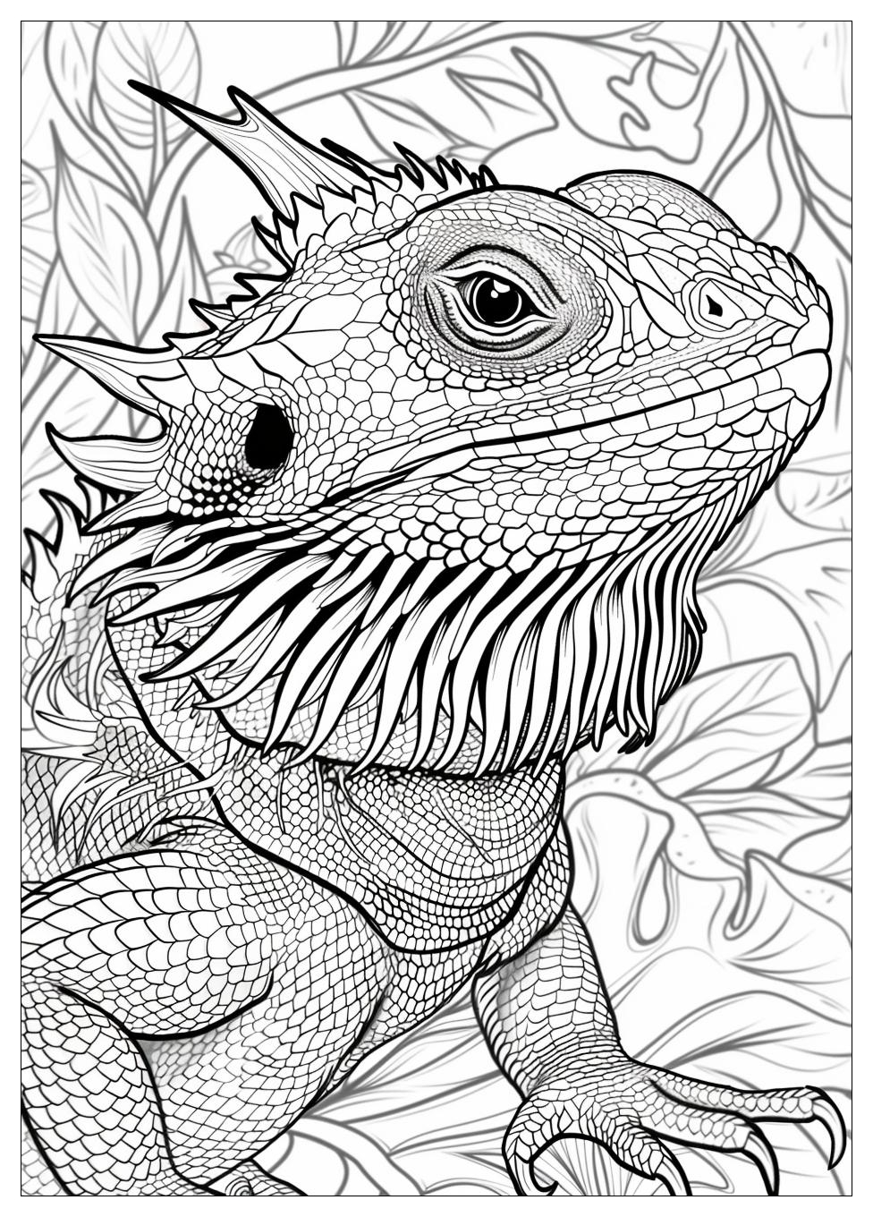 Bearded Dragon Coloring Pages-5