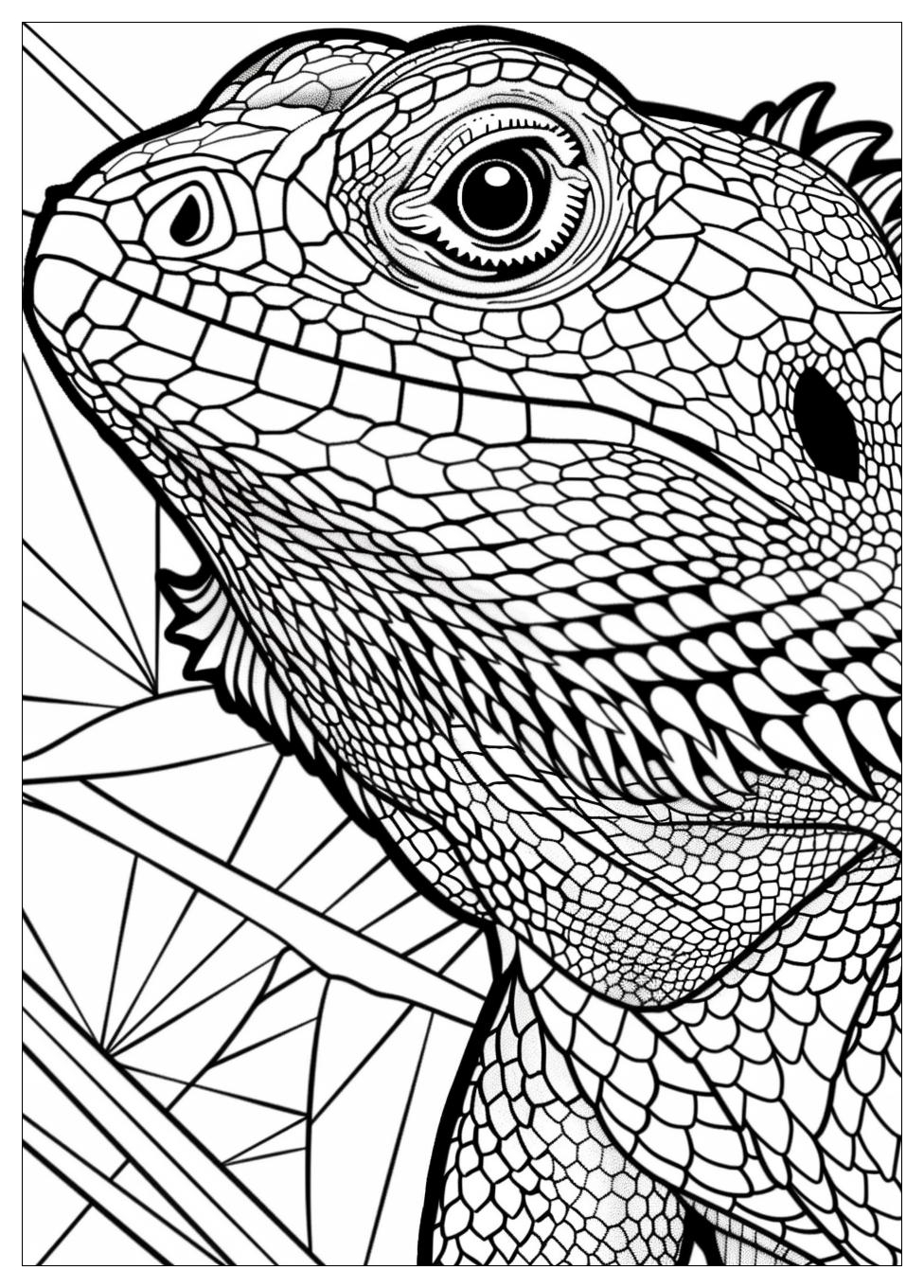 Bearded Dragon Coloring Pages-6