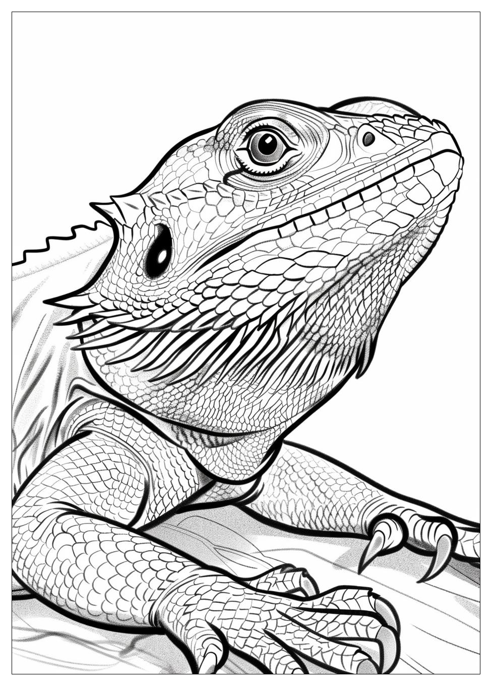 Bearded Dragon Coloring Pages-7