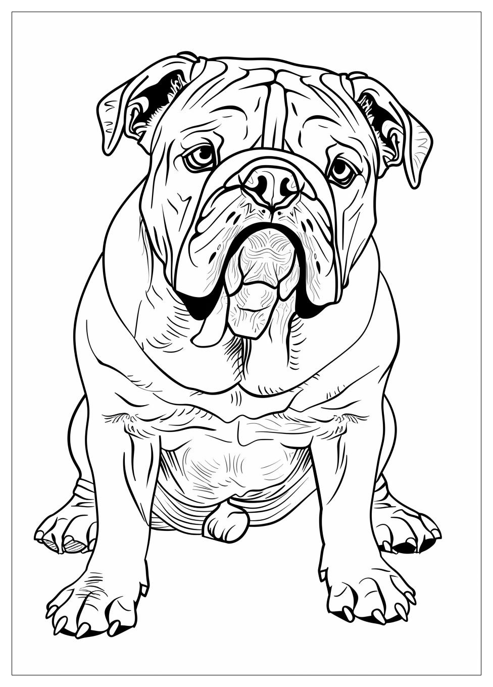 Bulldog Coloring Pages-12