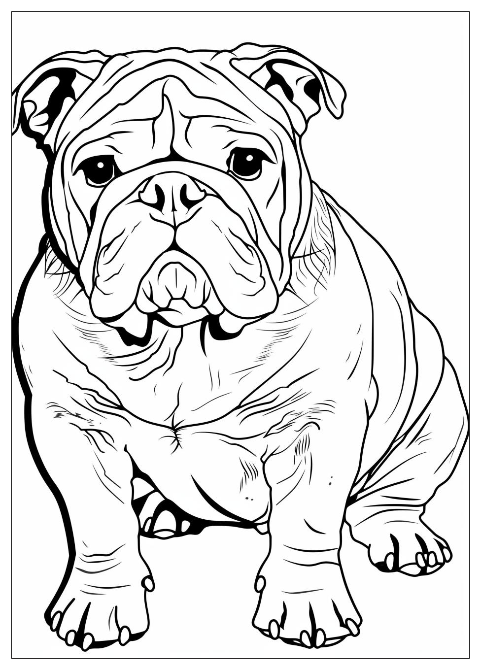 Bulldog Coloring Pages-16