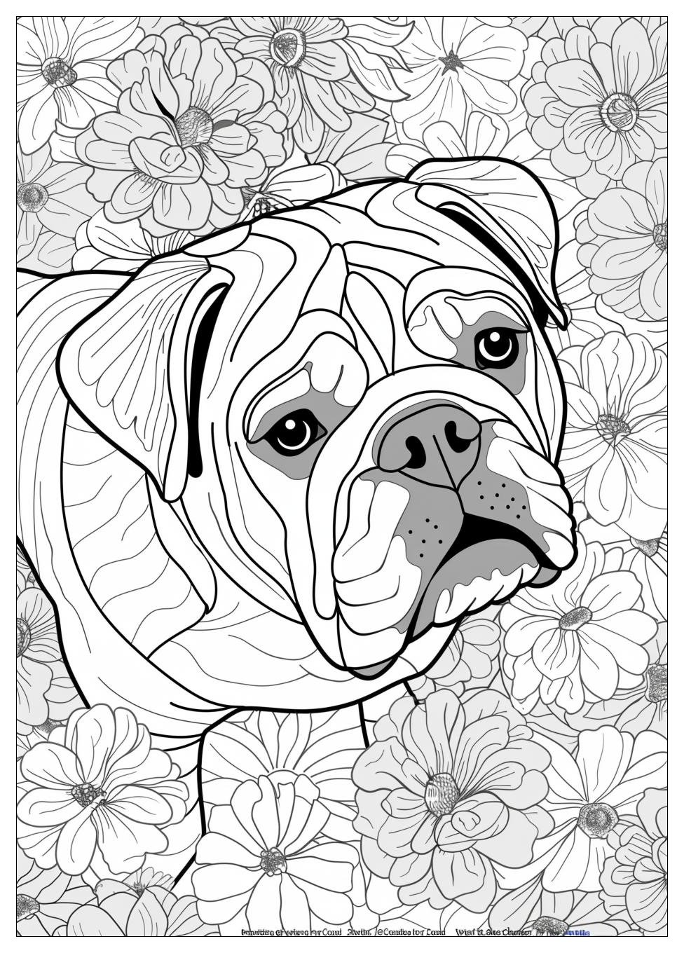 Bulldog Coloring Pages-18