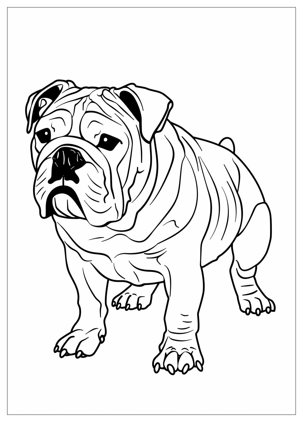 Bulldog Coloring Pages-4