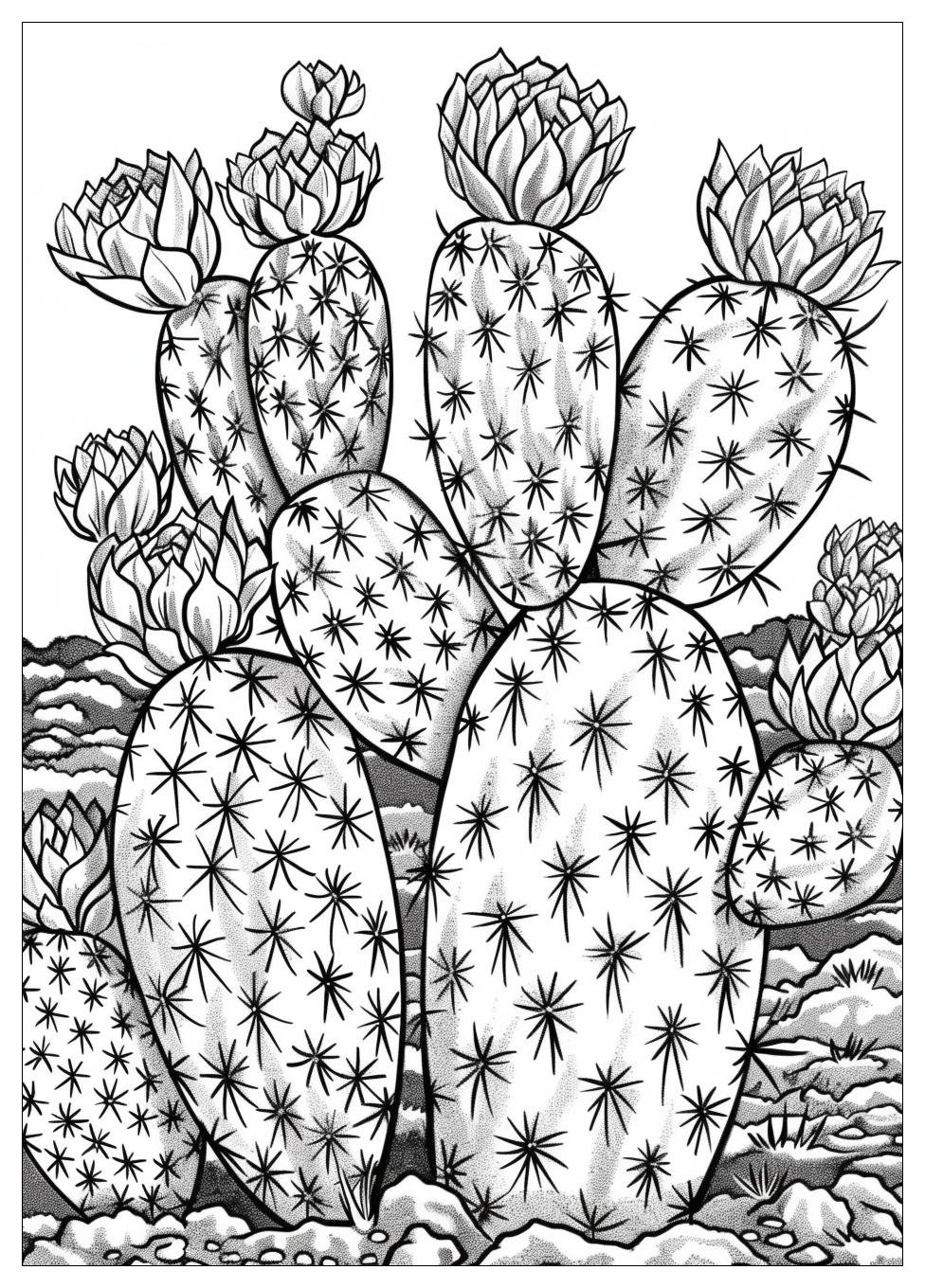 Cactus Coloring Pages-16