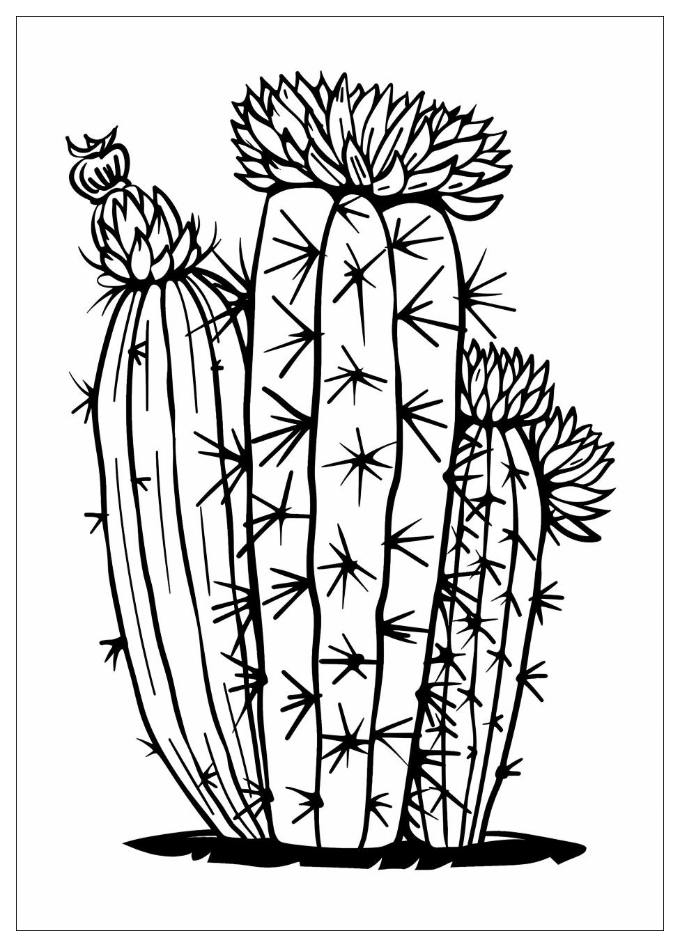 Cactus Coloring Pages-2