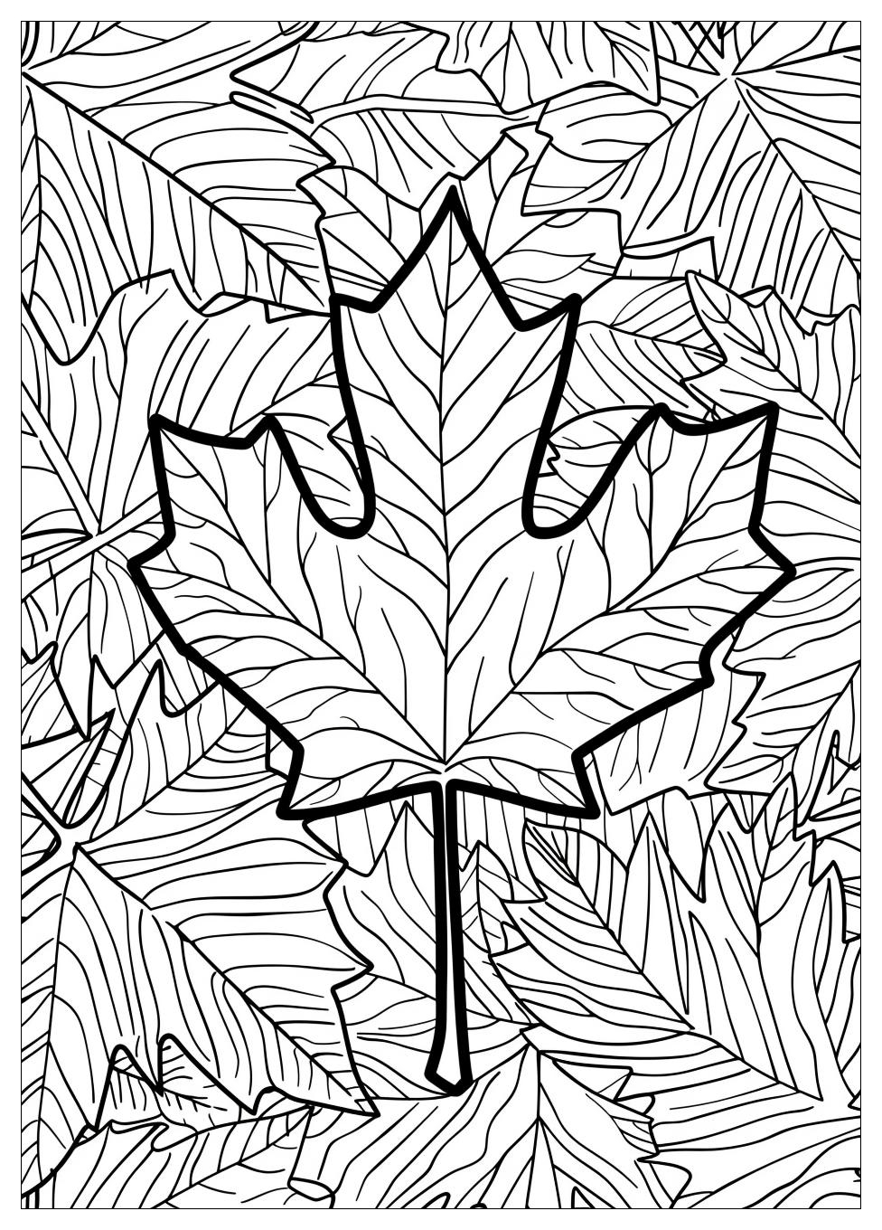 Canada Flag Coloring Pages-13