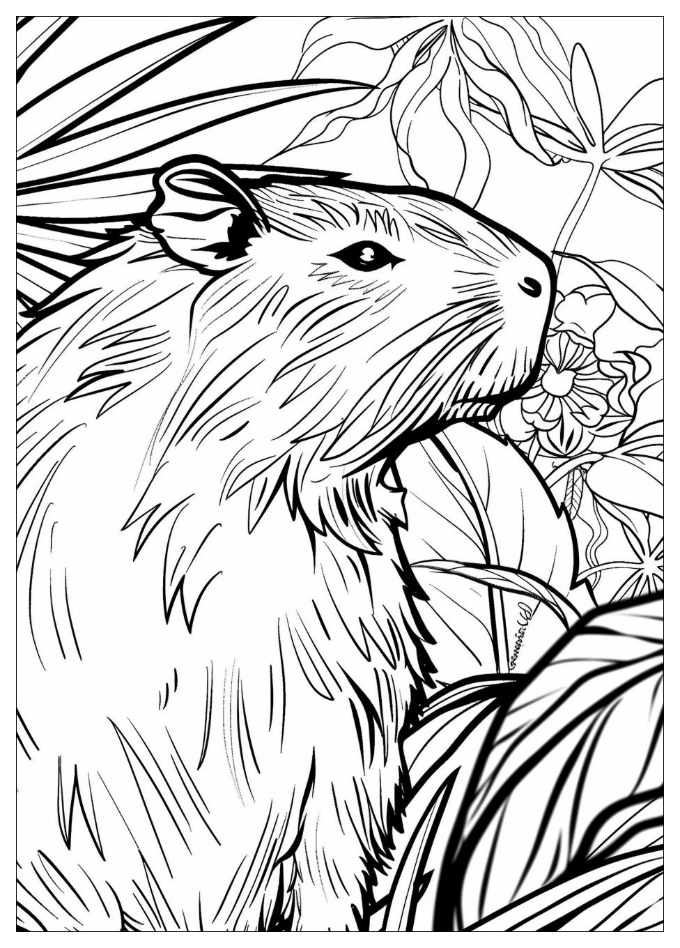 Capybara Coloring Pages-13