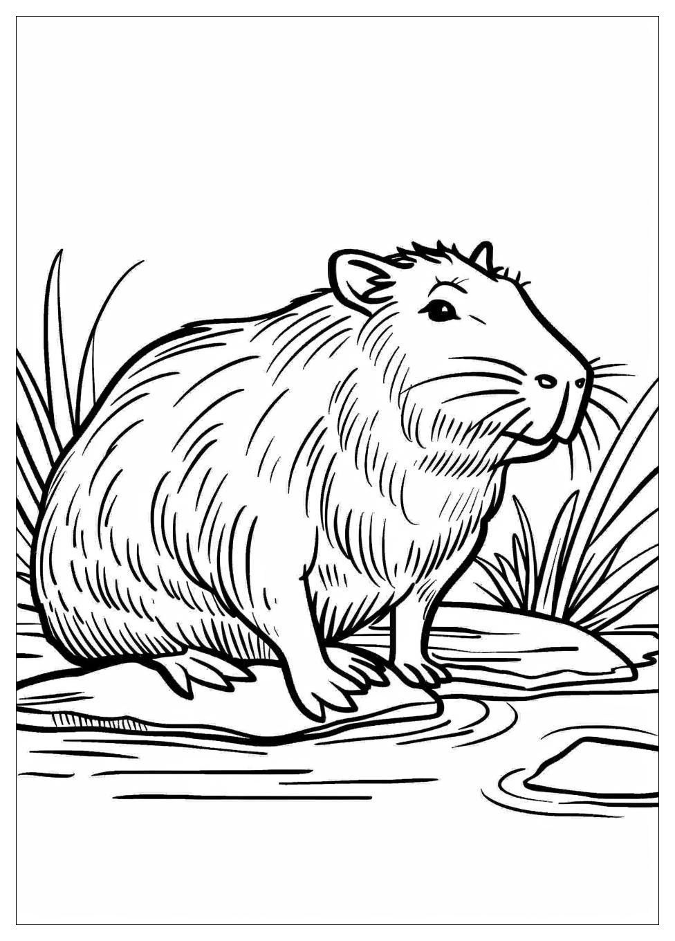 Capybara Coloring Pages-4