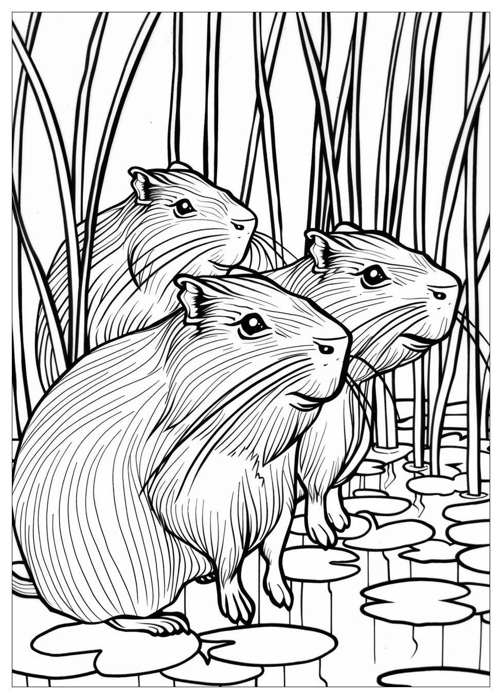 Capybara Coloring Pages-6