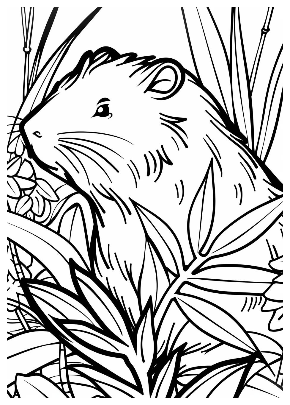 Capybara Coloring Pages-7