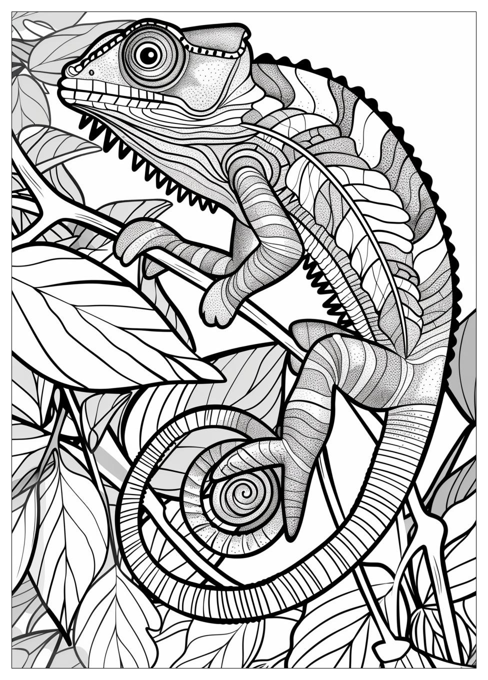 Chameleon Coloring Pages-1